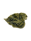 Small Birch leaf, Green, medium