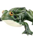 LLarge Frog, , medium