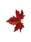Small Sycamore Leaf, Red, medium