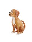 Pitcher 1,2L Dog "Perdigueiro", , medium