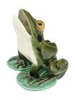Large Open-Mouth Frog, , medium