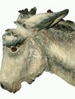 Dunkey Head, , medium