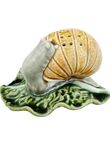 Toothpick Snail, , medium