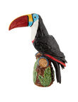Toucan, , medium