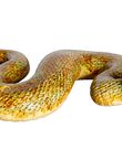 Giant Snake, , medium