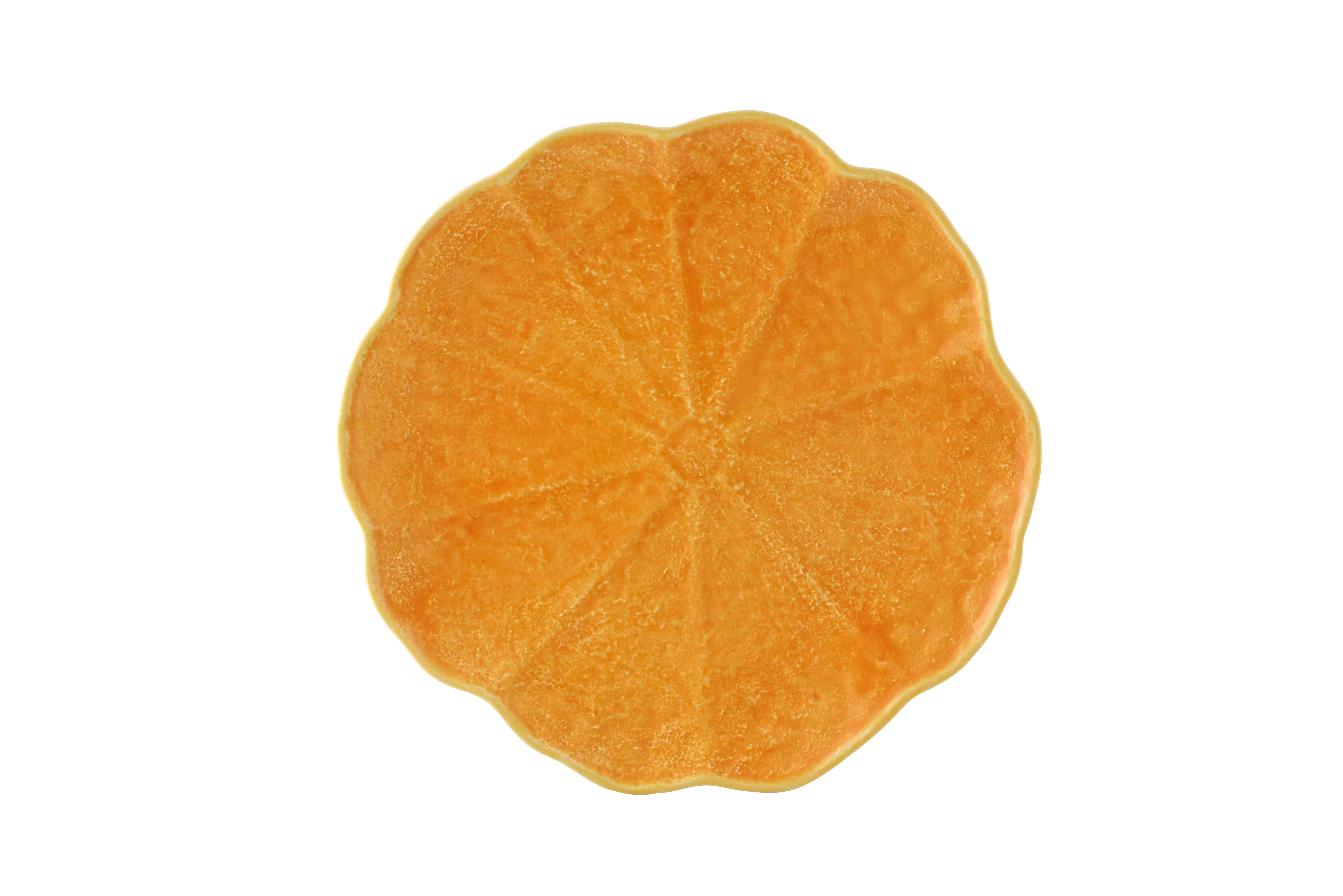 Dinner Plate
