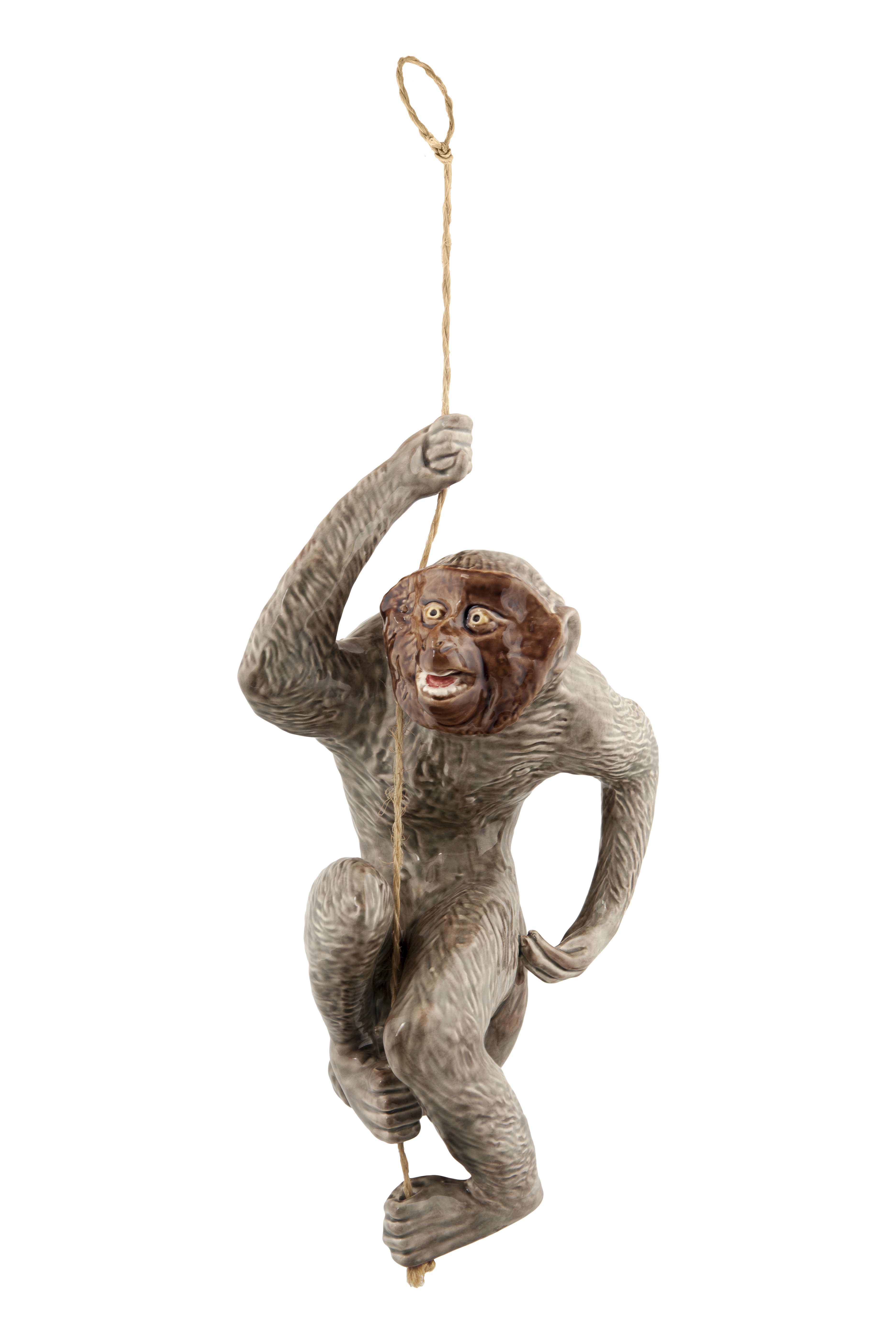 Monkey, , large