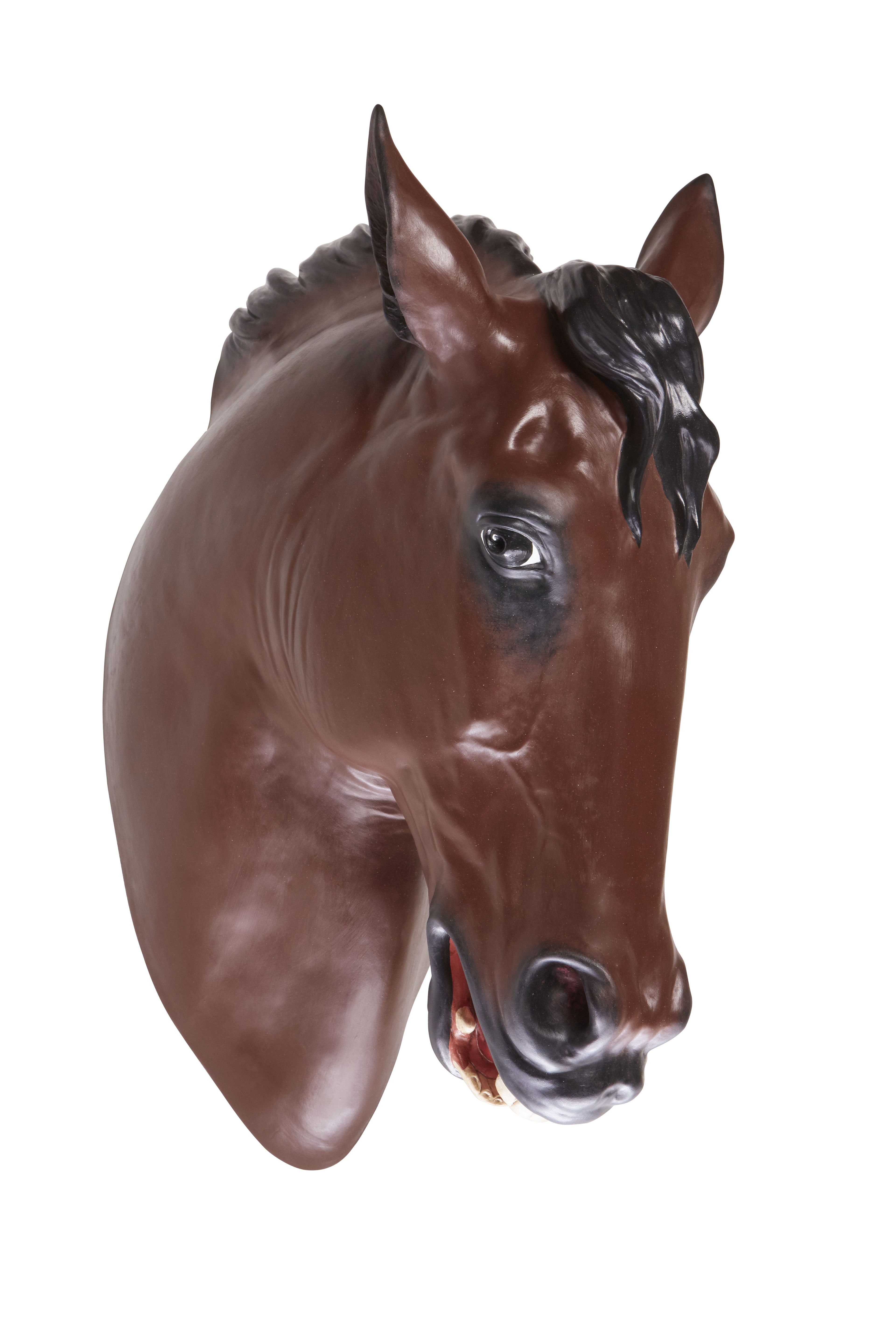 Horse Head